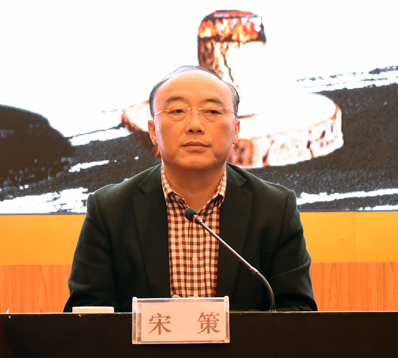 宋策发表讲话.jpg