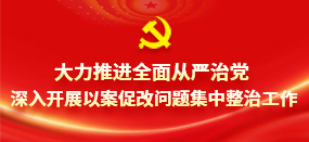 大力推进全面从严治党 深入开展以案促改问题集中整治工作