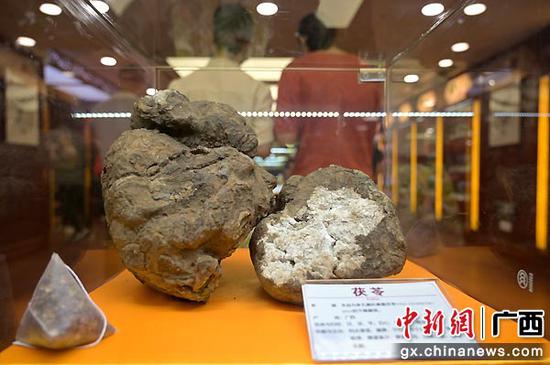 图为中医药博物馆展示的广西特色中药品。俞靖 摄 图为中医药博物馆展示的广西特色中药品。俞靖 摄