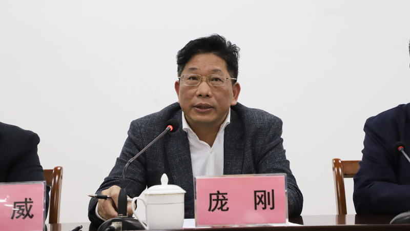 庞刚副院长作讲话.jpg